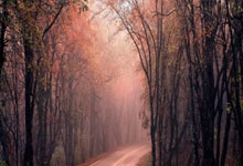 北青体育：国足补招吴少聪、黄政宇，蒋光太离队将缺战澳大利亚.