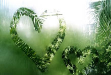 ⚡️首开记录！戈麦斯助攻努里头球破门，狼队1-0领先.